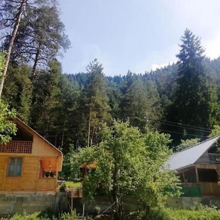 Guest House Ilia Bordzjomi Buitenkant foto