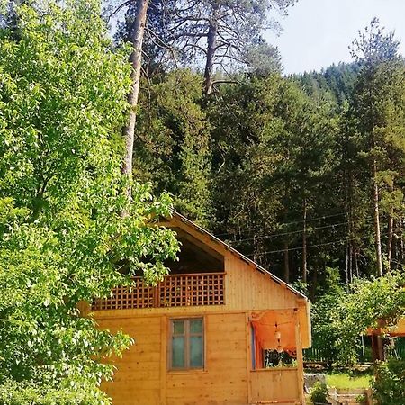 Guest House Ilia Bordzjomi Buitenkant foto