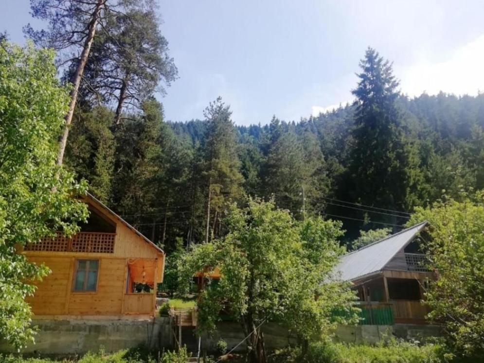 Guest House Ilia Bordzjomi Buitenkant foto