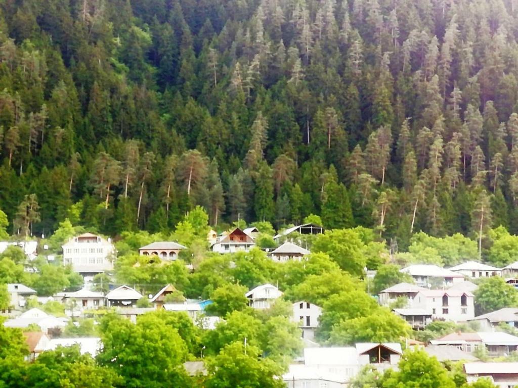 Guest House Ilia Bordzjomi Buitenkant foto