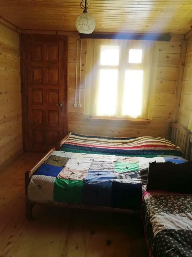 Guest House Ilia Bordzjomi Buitenkant foto