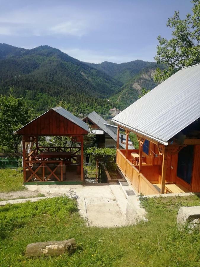 Guest House Ilia Bordzjomi Buitenkant foto