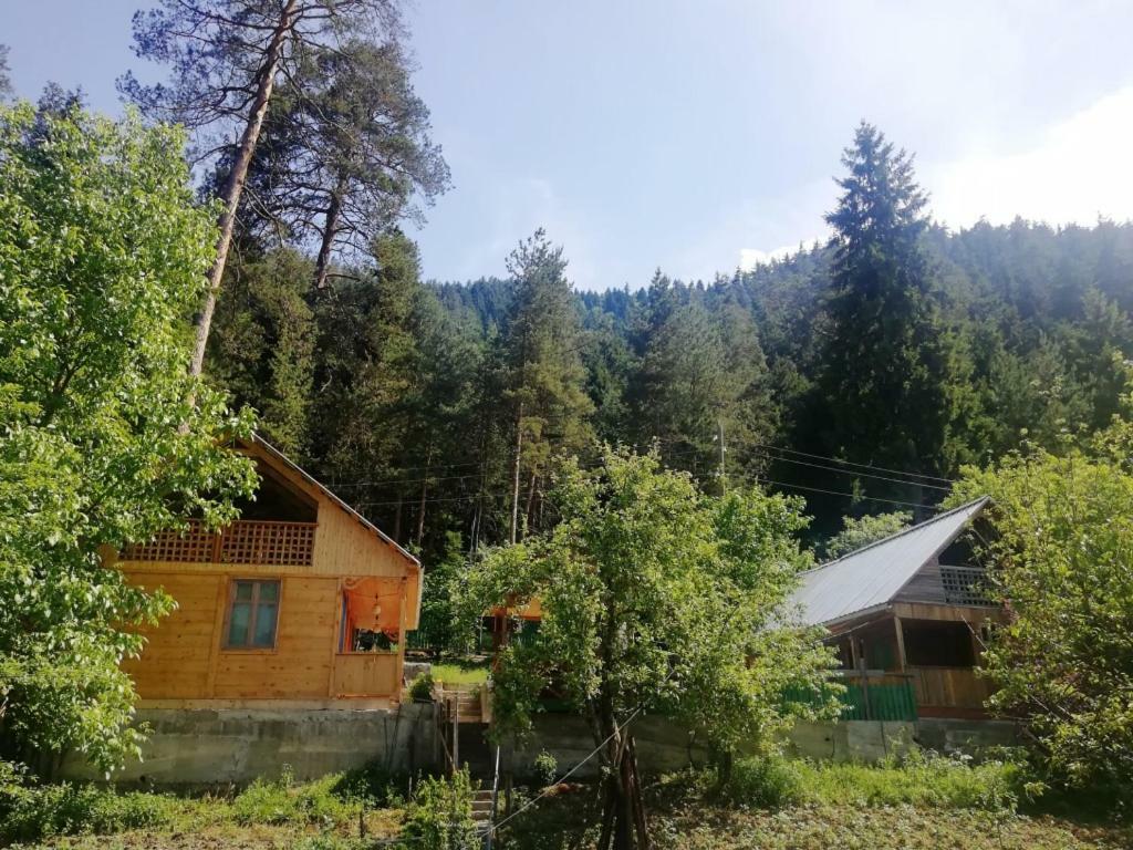 Guest House Ilia Bordzjomi Buitenkant foto