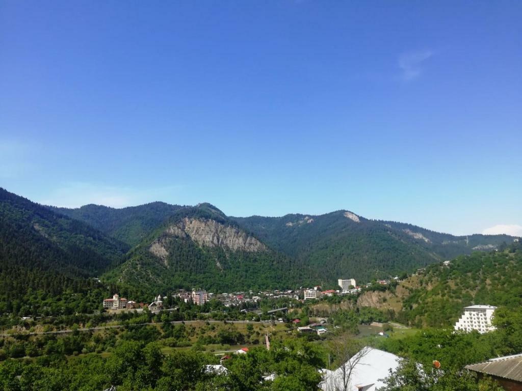 Guest House Ilia Bordzjomi Buitenkant foto