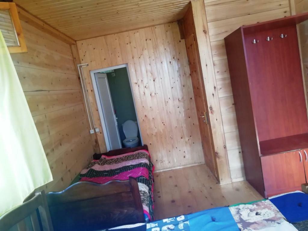 Guest House Ilia Bordzjomi Buitenkant foto