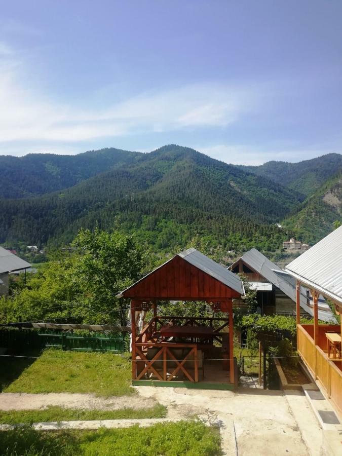 Guest House Ilia Bordzjomi Buitenkant foto