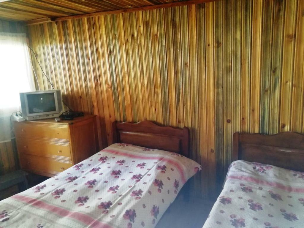 Guest House Ilia Bordzjomi Buitenkant foto