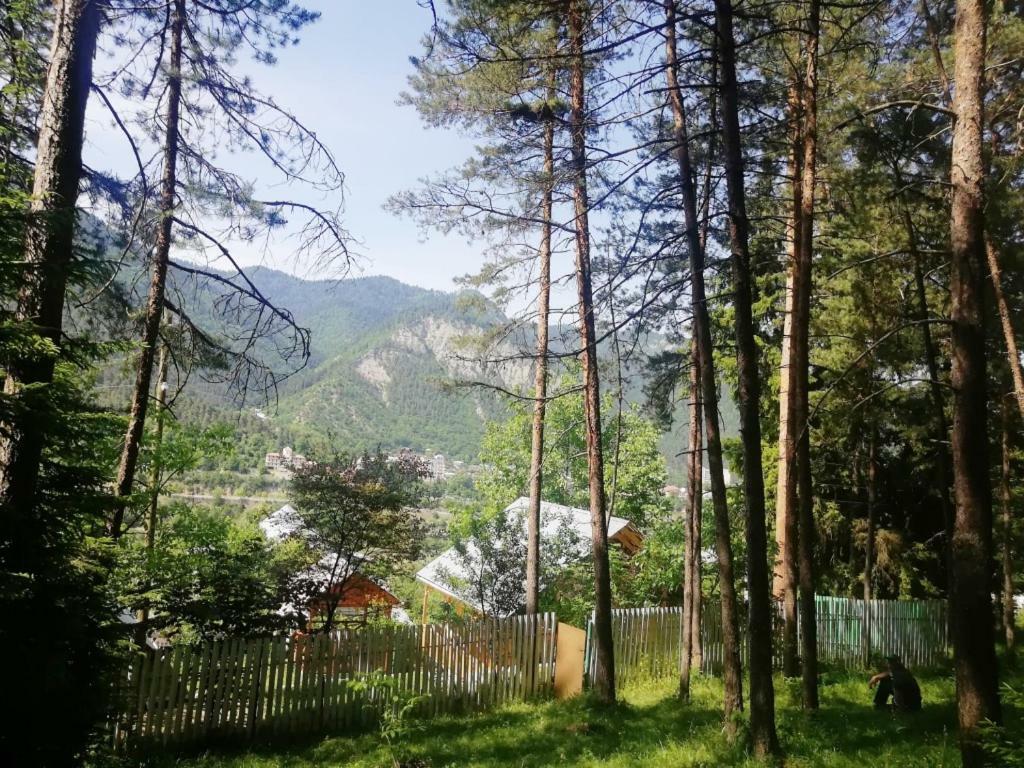 Guest House Ilia Bordzjomi Buitenkant foto