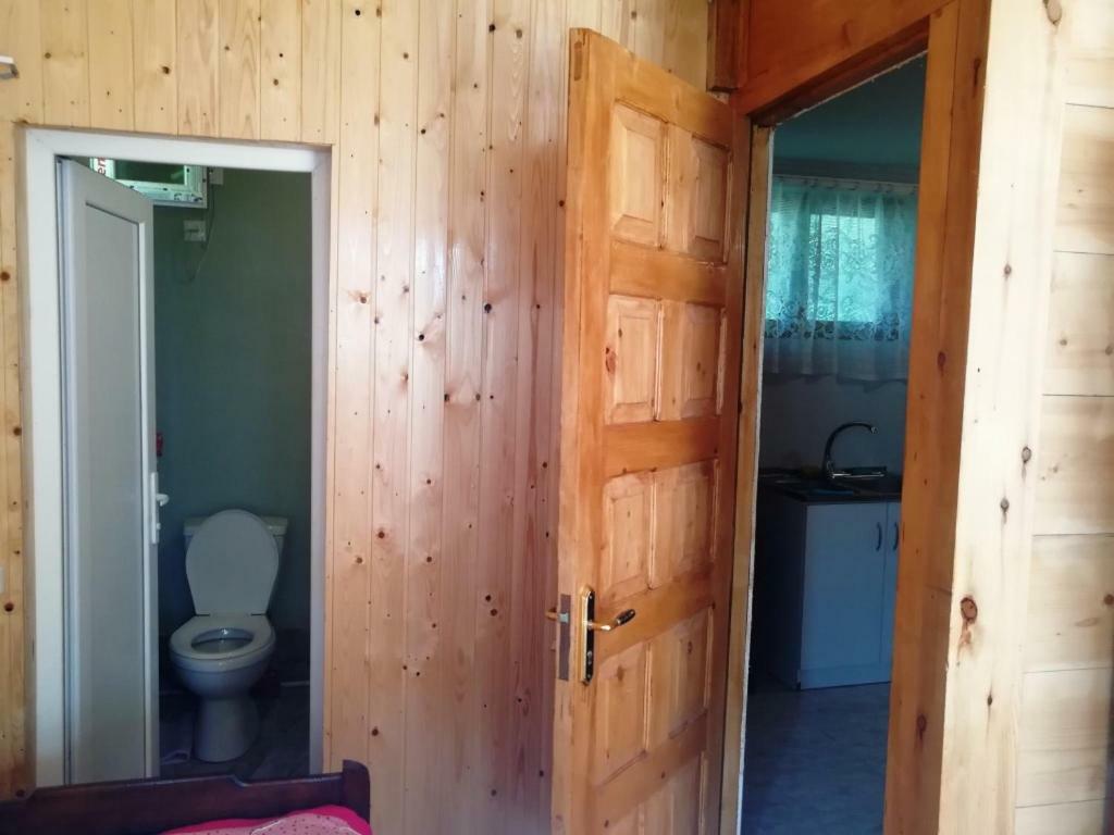 Guest House Ilia Bordzjomi Buitenkant foto