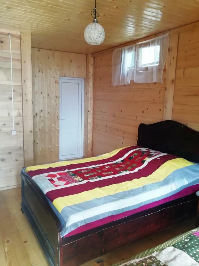 Guest House Ilia Bordzjomi Buitenkant foto