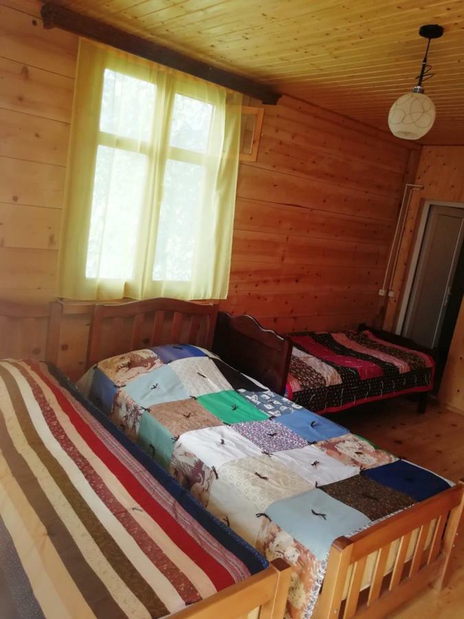 Guest House Ilia Bordzjomi Buitenkant foto
