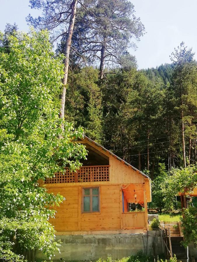 Guest House Ilia Bordzjomi Buitenkant foto